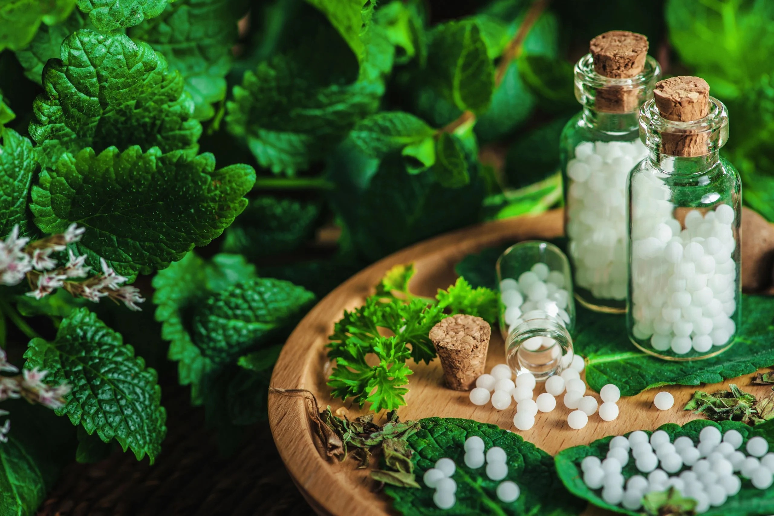 Homoeopathy Products