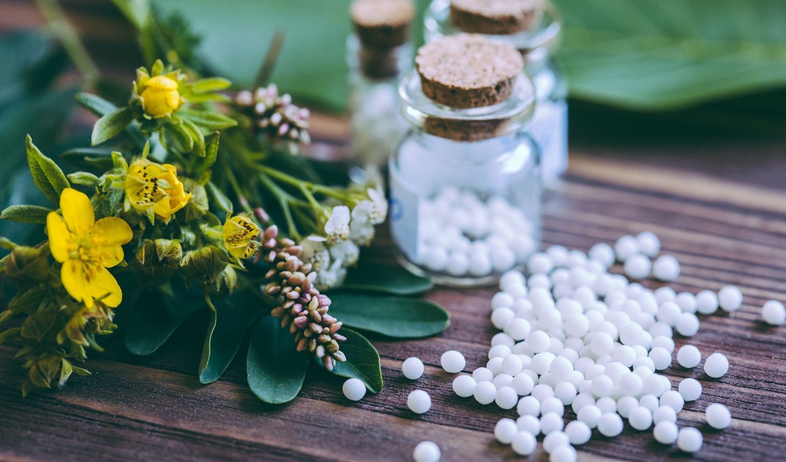 Natural Herbs